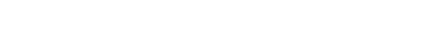 LEONE OBJECTS